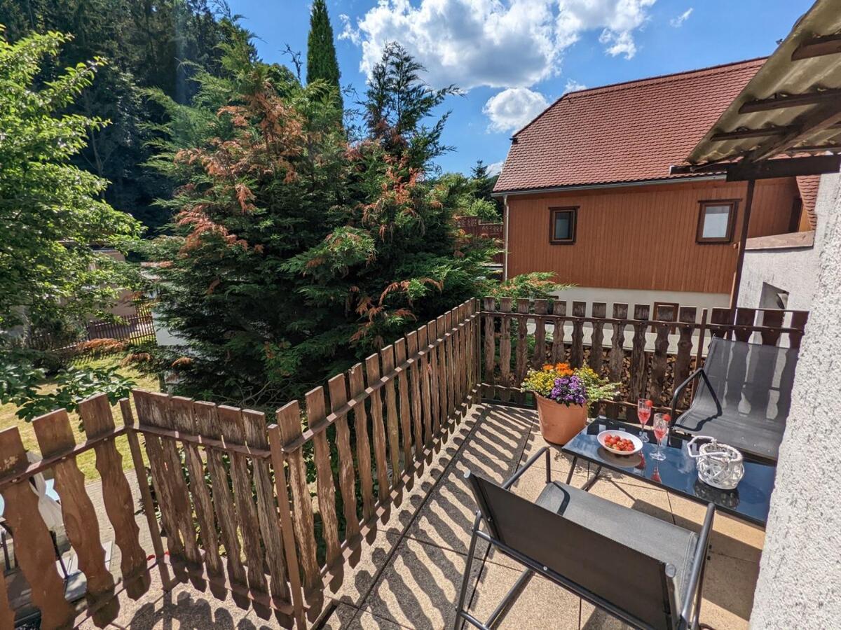 H2 - Urlaubsmagie - Garten, Pool, Terrasse, Grill Sebnitz Exteriér fotografie